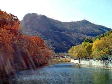 新澳天天开奖资料大全旅游团，穿越之紫晴郡主